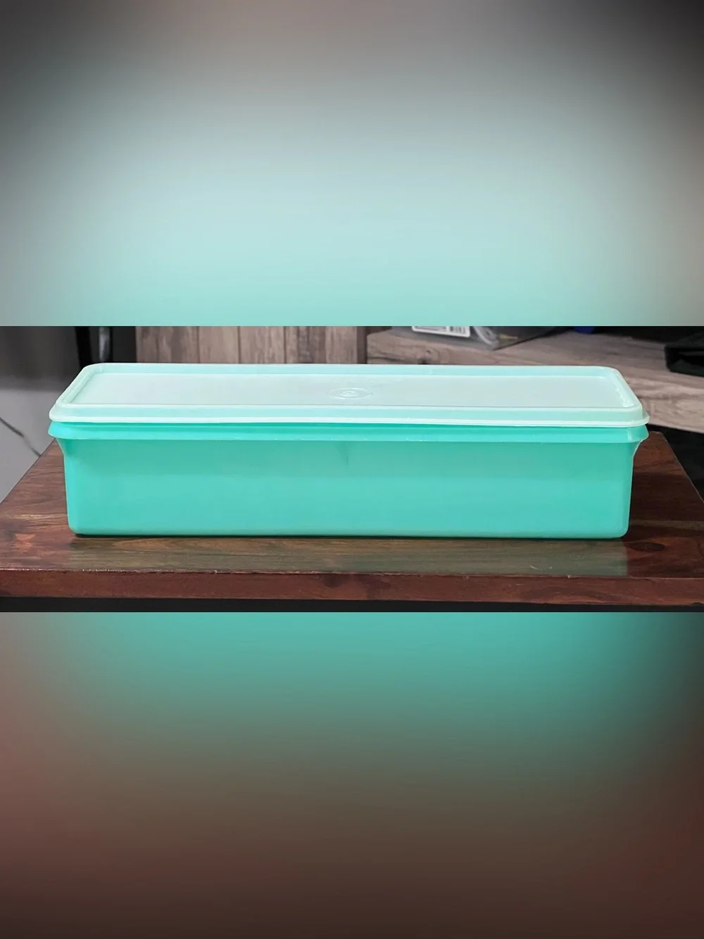 Vintage Tupperware Aqua Celery Produce Keeper Storage Container Made USA